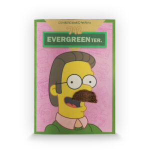 Portada de Evergreenter 742, Ned Flanders