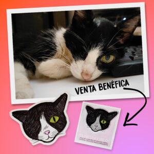Venta benéfica Iris