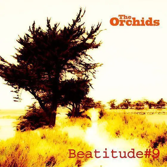 Beatitude #9 – The Orchids