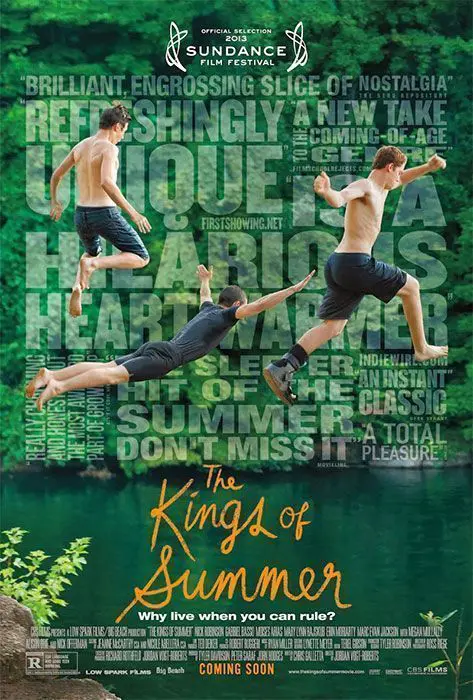 Miniatura de The Kings of Summer