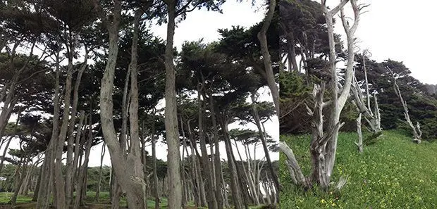 Golden Gate Natural Park