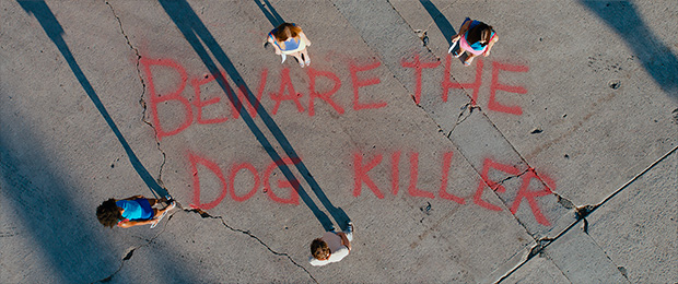 Beware the dog killer