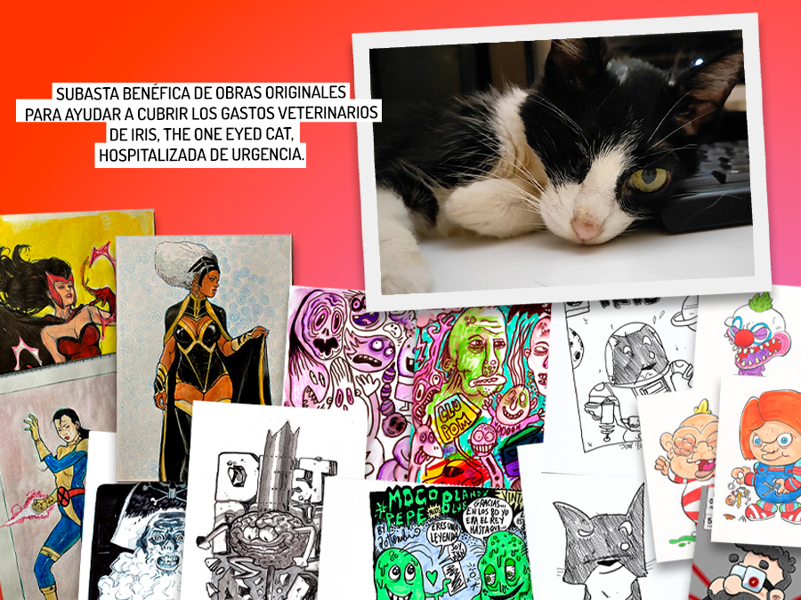 Miniatura de Dibujantes del cómic se vuelcan para ayudar a la gata Iris, the one eyed cat